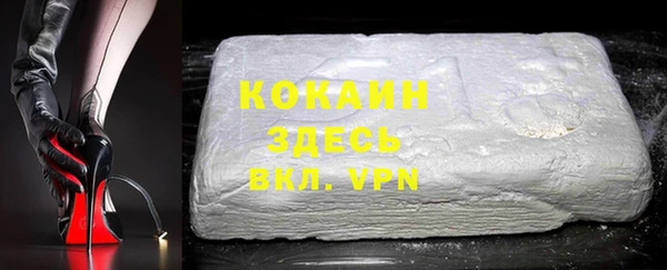 бошки Алексин