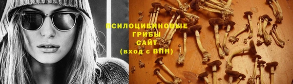 бошки Алексин