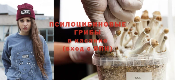 дмт Алексеевка