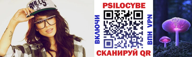 Псилоцибиновые грибы Psilocybe Звенигово