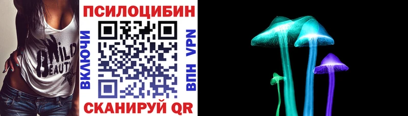 Псилоцибиновые грибы мицелий  Звенигово 