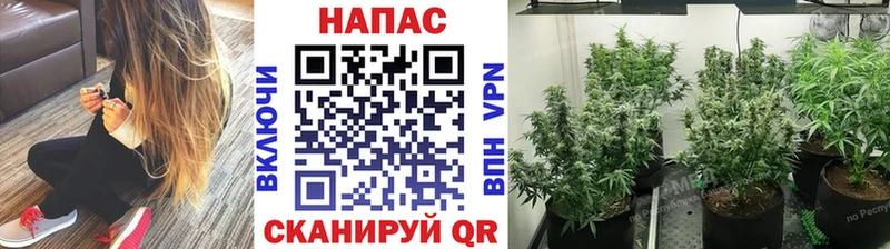 Марихуана Amnesia  это клад  Звенигово 